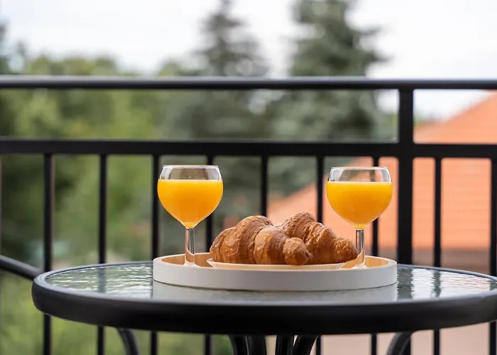 Contigo Apartman Vrnjacka Banja - Vrnjacka Promenada